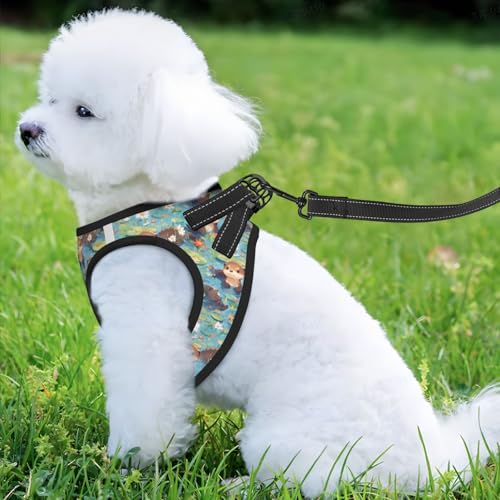 Otter Pet Harness Escape Proof Dog Harness Adjustable Mesh Padded Reflective Dog Vest Harness and Leash Set Small - color: Style 5, size: Small