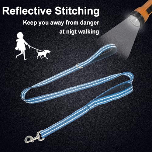 Dual Padded Handle Standard Dog Leashes with Reflective Stitching,360° Rotatable Heavy Duty Metal Buckle,D-Ring,Durable Nylon,for Medium Sized Dogs from 20 to 60 Pounds Walking and Training Blue 5Ft - color: Blue, size: 5Ft