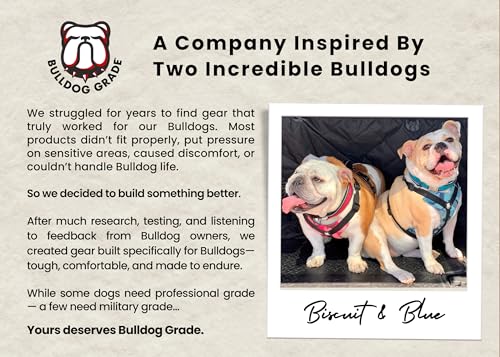 No-Pull Harness for English & French Bulldogs - Adjustable Wide-Chest Fit, Reflective Vest with Control Handle (Bully Blue Camo, XL) - color: Bully Blue Camo, size: XL