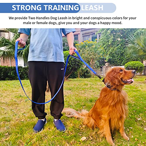Strong Heavy Duty Dog Leash - 5ft Reflective Nylon Training Leash with Soft Padded Double Handle & Auto Lock Frog Clip - Safety Traffic Control for Large Medium Small Dogs No Pull Walk Dark Blue,5ft - color: Dark Blue, size: 5FT x 1" x 2.8MM