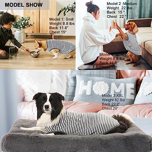 Dog Combed Cotton Tee Shirts,Soft Breathable Sun Protection Small Puppy T-Shirt for Boy Girl Dogs,2 Pack Grey White Striped S - color: Deep Light Grey Striped, size: Small