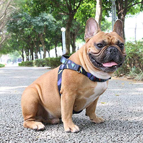 iChoue French Bulldog Harness Adjustable Padded Locked Buckle with Handle for Frenchie Pug English Boston Terrier Dogs, Shooting Stars, Small - color: A Harness Stars, size: Small ( 5 - 25 lbs )
