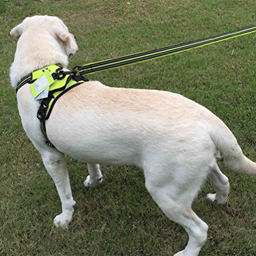 SGODA Dog Vest Harness, Grey, Medium - color: Grey, size: Medium Chest 22-27"