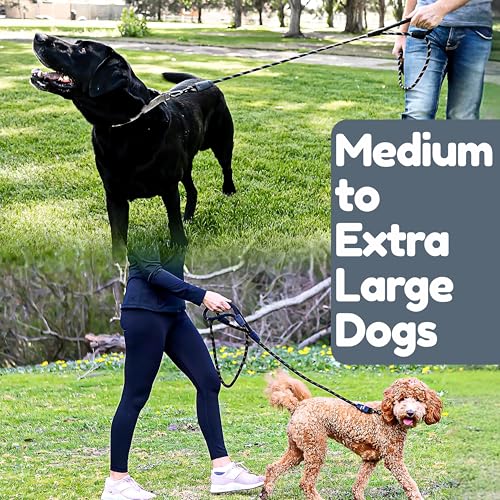 6 Foot Dog Leash, Two Extra Padded Handles, Locking Carabiner Clip, Reflective for Night Visibility, Weatherproof, Heavy Duty Rope Leash, Roam Gear (Black) - color: Black