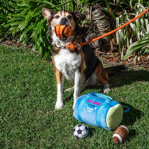 Glow Pups Dog Toy Sports Bag Hide and Seek Interactive Dog Toy with 6 Plush Squeaky Balls, Crinkle 10 Inches Long, Soft Plush, Blue and Yellow Sports Bag with Basketball, Soccer and Football - style: Sports Bag with Basketball, Soccer and Football Plush D