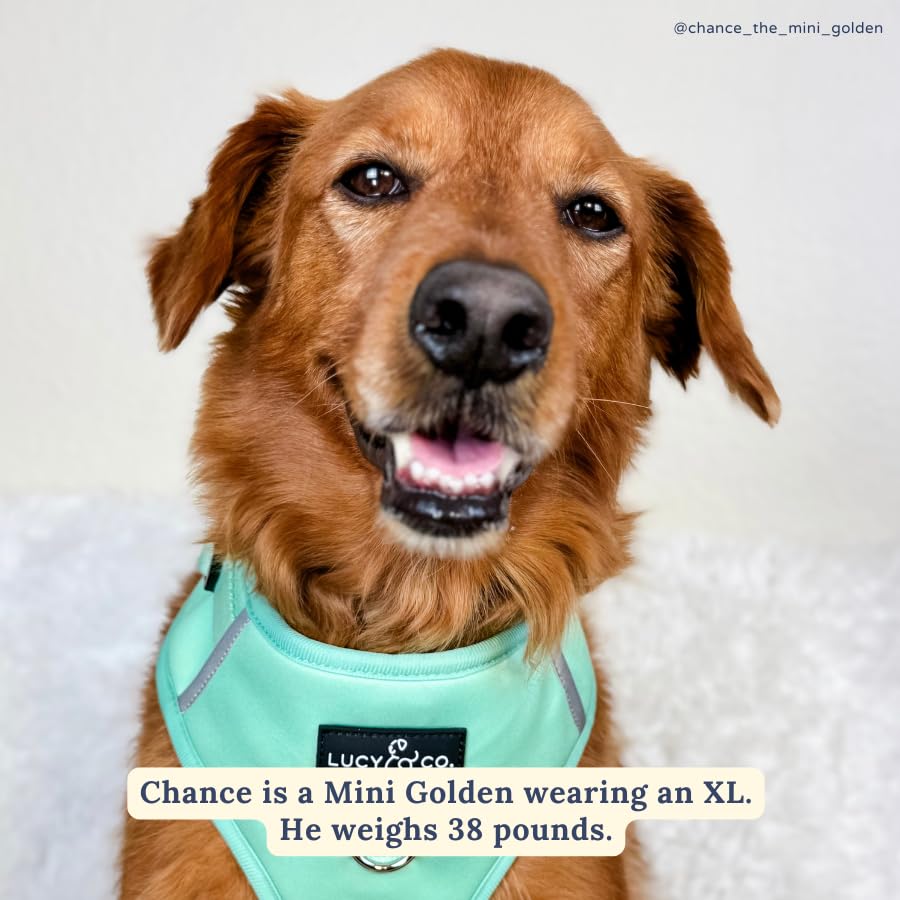 Lucy & Co. The Spring Green No-Pull Dog Harness - Size Small- Vest to Stop Pulling & Walk Easy - Comfortable Leash Training Product w/Adjustable Chest & Neck Straps - color: The Spring Green No-Pull Harness, size: Small