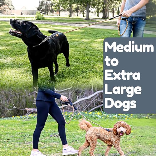 6 Foot Dog Leash, Two Extra Padded Handles, Locking Carabiner Clip, Reflective for Night Visibility, Weatherproof, Heavy Duty Rope Leash, Roam Gear (Brown) - color: Brown