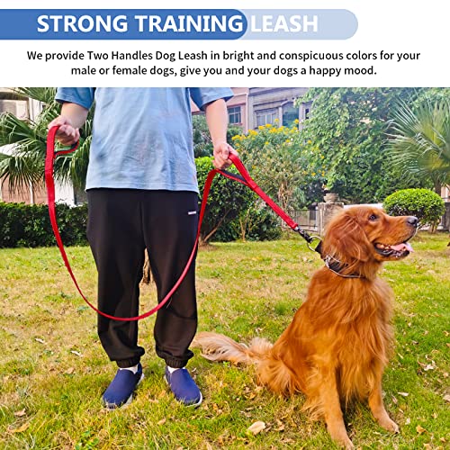 Strong Heavy Duty Dog Leash - 4ft Reflective Nylon Training Leash with Soft Padded Double Handle & Auto Lock Frog Clip - Safety Traffic Control for Large Medium Small Dogs No Pull Walk Red,4ft - color: Red, size: 4FT x 1" x 2.8MM