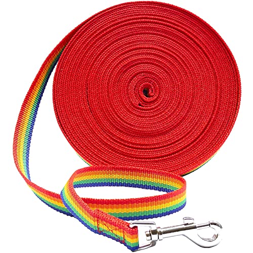 Downtown Pet Supply - Long Rainbow Dog Leash - 150 ft Nylon Training Tool for Recall & Obedience - color: Rainbow, size: 150 Foot