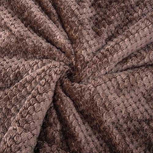 DG-Eagle Grey Plush Fleece Receiving Blanket for Dog, Cat, Couch, Travel - Warm, Soft, 24" x 32" - color: Dg-eagle Grey, size: Blanket (24" x 32")