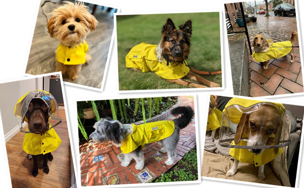 Dog Raincoat Waterproof Rain Poncho with Hoodie, High Reflective Adjustable Pet Rain Jacket with Leash Hole for Small Medium and Large Dogs (Khaki, Small) - color: Khaki, size: Small: 9-13lbs