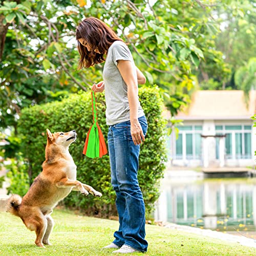ASOCEA 2 Pack Dog Fleece Rope Toy for Dog Chase and Tug Pet Interactive Cotton Chew Toy Dog Tether Lure Toy Dog Flirt Pole Replacement Toys to Outdoor Exercise & Training - color: Blue+Green