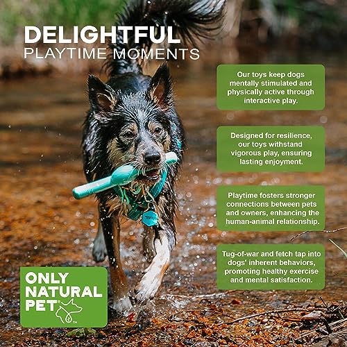 Only Natural Pet Rubber Bond Building Fetch Tug Dog Toy - Stick Floating Small XL Puppy Teach Durable Throw Launcher Flying Frisbee Boomerang Tough Aggressive Puller Chewers -Fling & Fetch/Teal - color: Teal