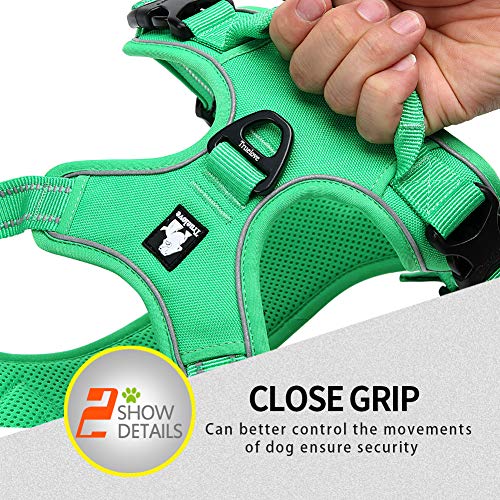 JUXZH Truelove No Pull Dog Harness with Easy Control Handle and 2 Leash Attachments,Reflective Adjustable Pet Vest - color: Grass Green, size: Small (Pack of 1)