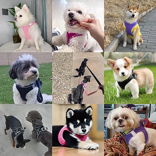 Dog Harness with Leash Set, No-Pull Step-in Reflective Pet Harness with 1 Leash Clips, Adjustable Soft Padded Easy Walk Dog Vest for Small Medium Large Dogs, Cats(Carbon Black, XXSmall) - color: Black, size: XXS(Chest:11.5"-13"*Fit Cat)