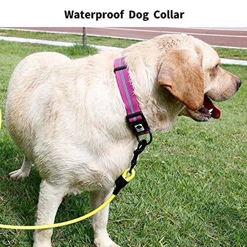 NIMBLE Dog Collar Waterproof Pet Collars Anti-Odor Durable Adjustable Polyester Soft with Reflective Cloth Stripe Basic Dog Collars S/M/L Sizes (Medium (11.81”-18.5”inches), Rose Purple) - color: rose purple, size: Medium (11.81”-18.5”inches)