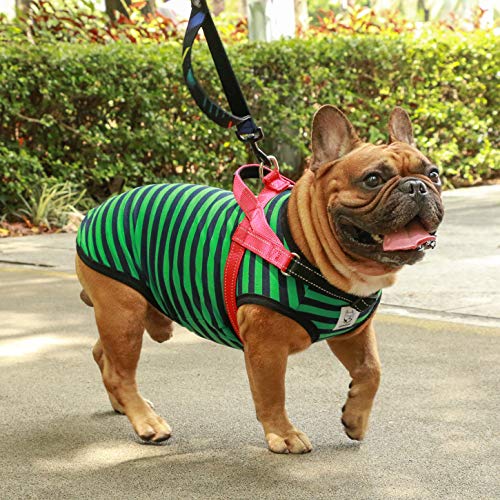 iChoue French Bulldog Harness and Leash Set Adjustable Padded Locked Buckle with Handle for Frenchie Pug English Boston Terrier Dogs, Red, Small - color: A Harness with Leash Red, size: Small ( 5 - 25 lbs )
