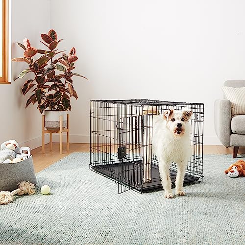 Amazon Basics Portable, Easy to Assemble, Foldable Metal Wire Dog Crate with Removable Tray, Double Door, Divider Panel, Handle, 36" x 23" x 25", Black - size: 36.0"L x 23.0"W x 25.0"H, style: Double Door w/ Divider