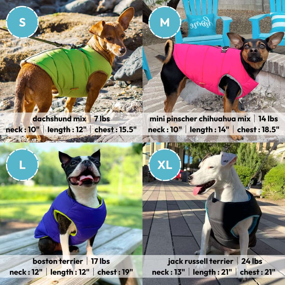 Gooby Padded Vest Dog Jacket - Solid Blue, X-Small - Warm Zip Up Vest Fleece Jacket with Dual D Ring Leash Water Resistant for Small to Medium Dogs - color: Blue Solid, size: X-Small
