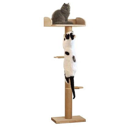 Cat Window Perch with Tall Scratching Posts, Inside 48 in Tall Climbing Tree Hammmock Mounted with Suction Cups for Climbing, Bird Watching, and Play, Supports 45 lbs