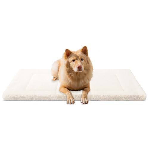 Dog Mat Soft, Pet Bed for Comfortable Rest, Ideal for All Dog Sizes, Machine Washable, Durable & Easy to Clean,48x30x1 in,Black - size: 48x30x1 in