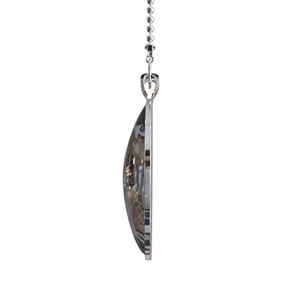 Black Labrador Flower Moon Dog Breed Glow in the Dark Ceiling Fan and Light Pull Chain Pendant Single Sided
