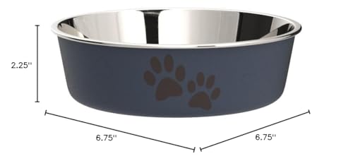 Loving Pets Bella Dog Bowls- Stainless Steel Dog & Cat Bowls - Spill Proof Dog Food Bowl, Cat Bowl, Puppy Essentials & Pet Supplies Great for Home & Travel (Medium 20-35 lbs, Blueberry) - color: Blueberry, size: Medium (20-35lbs)