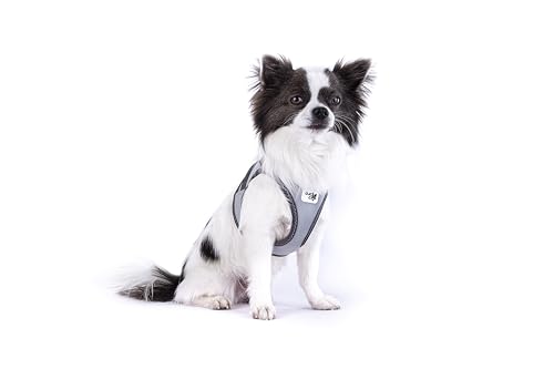 Glow curli Clasp Vest Harness Reflective Gray M