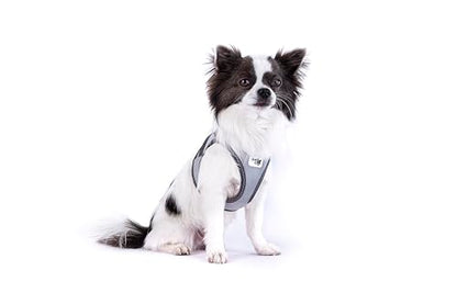 Glow curli Clasp Vest Harness Reflective Gray M