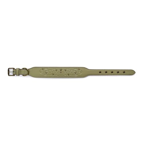 Blueberry Pet Premium Embossed Sage Green Glam Silver-Powered Freshness Microfiber Leather Dog Collar with Antique Brass Studs - color: Sage Green, size: Large
