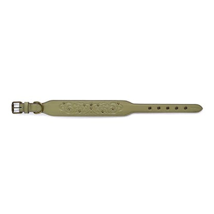 Blueberry Pet Premium Embossed Sage Green Glam Silver-Powered Freshness Microfiber Leather Dog Collar with Antique Brass Studs - color: Sage Green, size: Large