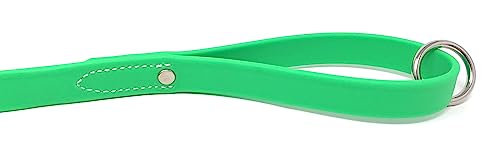 Regal Dog Products Waterproof Leash – 5 ft. Green Dog Leash with Easy to Use Collar Hook, Lightweight, and Proof Training Pet Lead with Vinyl-Coated Webbing for Small, Medium, Large, or XL Dogs - color: Green