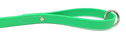 Regal Dog Products Waterproof Leash – 5 ft. Green Dog Leash with Easy to Use Collar Hook, Lightweight, and Proof Training Pet Lead with Vinyl-Coated Webbing for Small, Medium, Large, or XL Dogs - color: Green