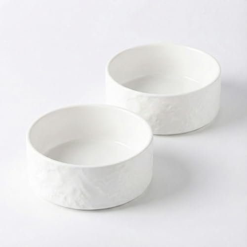 Ceramic Dog and Cat Bowl 2-Pack Small Heavy Weighted Non-Slip Food & Water Set for Cats & Small Dogs 13.5oz White - color: White – 2 Pack