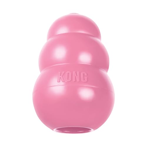 KONG - Puppy Toy Natural Teething Rubber - Fun to Chew, Chase and Fetch - for Medium Puppies - Pink - color: Pink, size: Medium (Pack of 1)