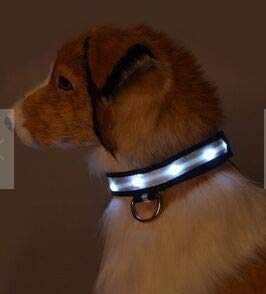 5 FT Reflective Dog Leash with Comfortable Padded Handle and Rotative Strong Metal Clasp and Flash Collar-red - color: Red