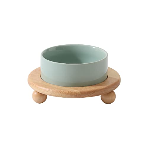Havniva Raised Cat Bowls Water Bowl 5.1” Elevated Ceramic Cat Food and Water Bowl Whisker Friendly Pet Food Bowls for Indoor Cats, Wide Cat Water Dish Prevent Whisker Fatigue Non Slip Cat Feeder - color: 1 x Bowl + Stand - Light Green