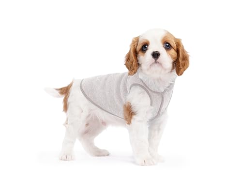 Goldpaw Dog Sun Shirt with UV Protection - Lightweight, Cooling Sun Protection Clothing for Small Dogs - Reduce Heat Absorption - Made in the USA - Machine Washable - Pebble Grey - Size 4 - color: Pebble Grey, size: 4