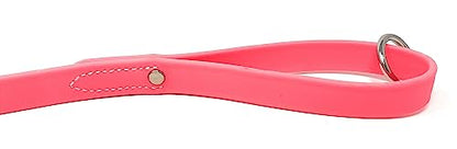 Regal Dog Products Waterproof Leash – 5 ft. Pink Dog Leash with Easy to Use Collar Hook, Lightweight, and Proof Training Pet Lead with Vinyl-Coated Webbing for Small, Medium, Large, or XL Dogs - color: Pink