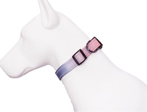 Roses&Poetry Reflective Dog Collar with Gradient Azure, Adjustable Durable Pet Collars for Small Medium Large Dogs (Azure-S) - color: Azure, size: S