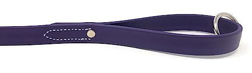 Regal Dog Products Waterproof Leash – 5 ft. Purple Dog Leash with Easy to Use Collar Hook, Lightweight, and Proof Training Pet Lead with Vinyl-Coated Webbing for Small, Medium, Large, or XL Dogs - color: Purple