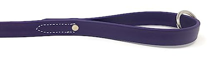 Regal Dog Products Waterproof Leash – 5 ft. Purple Dog Leash with Easy to Use Collar Hook, Lightweight, and Proof Training Pet Lead with Vinyl-Coated Webbing for Small, Medium, Large, or XL Dogs - color: Purple