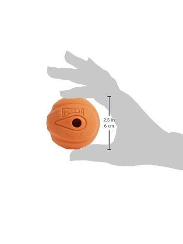 Chuckit Gen 1 Fetch Pack Dog Balls - Interactive Dog Toys, High-Bounce Fetch Ball, Floating Ultra and Rugged Balls, Durable - Size Medium, 2.5-inch Diameter, Set of 3 - size: Medium (2.5"), style: Fetch Pack 1