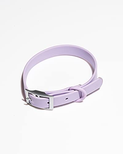 Wild One Dog Collar, Easy-Clean, All Weather Flex-Poly Strap with Metal, Durable, Dirt and Odor Resistant (Lilac, XS) - color: Lilac, size: XS