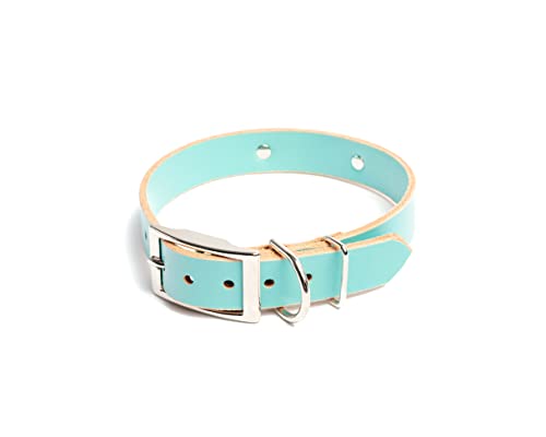 Handmade Personalized Bridle Leather Dog Collar, Engraved Stainless Steel Nameplate (Robin's Egg Blue) - color: Robin's Egg Blue