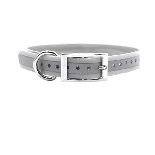 Extra Long 1" Wide D Ring Dog Collar with 3/4" Tag (Reflective White) - color: White