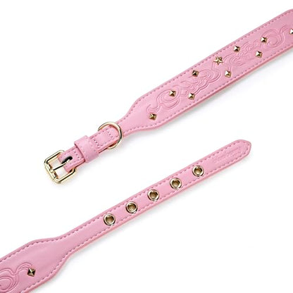 Blueberry Pet Premium Embossed Pink Glam Silver-Powered Freshness Microfiber Leather Dog Collar with Gold Studs - color: Pink, size: Small