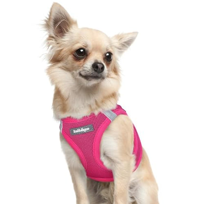 rabbitgoo Small Dog Harness, Step-in Soft Mesh Puppy Vest with Safety Buckle, Breathable Reflective Pet Harness for Extra Small Dogs, Rose Red XXXS - color: Rose Red, size: Xxxs(chest:10.8"-11.8")