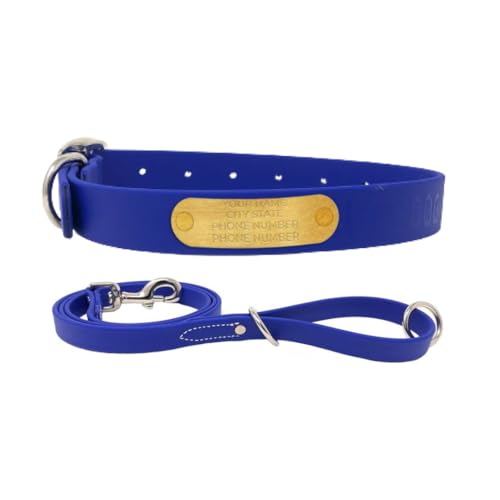 Regal Dog Products Large Blue with Custom Engraved Waterproof Dog Collar and Leash Set | Waterproof Dog Collar with Double Buckle & D Ring - 5'ft Leash | Matching Dog Collar and Leash for Dogs - color: Blue, size: Large Collar with leash