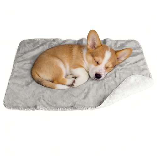 Waterproof Small Dog Blanket, Soft Puppy Blanket,Washable Furniture Protector, Dog Blanket for Car,Reversible Sherpa Fleece Couch Cover for Small Pets - color: Light Grey, size: 20x30 Inches